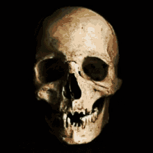 more skulls