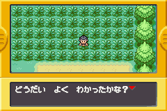 Concluding the tutorial...