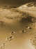 Footprints in the Sand