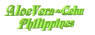 avcebuhead.gif - 355625 Bytes