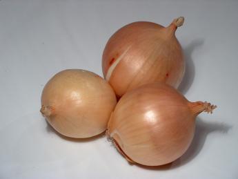 Onions