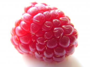 Raspberry