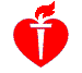 healthy heart