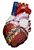 healthy heart