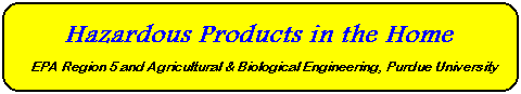 Hazardous Chemicals in the Home.&nbsp; Visit the Virtual Home.