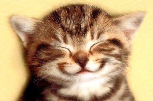Smile