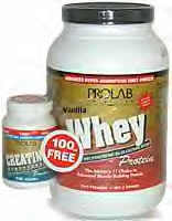 ProlabWhey.bmp (93654 bytes)