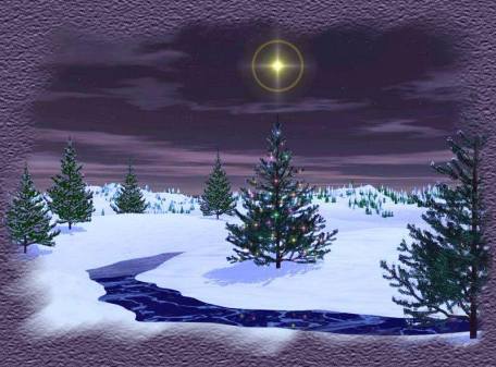 Xmas Trees