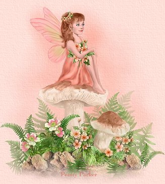 Fairy