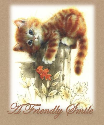 Kitty