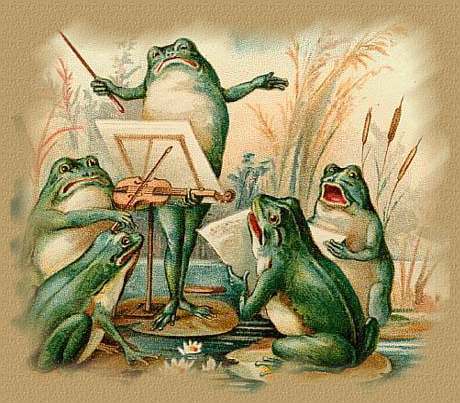 Frogs
