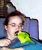 Please detach this bird from my face.