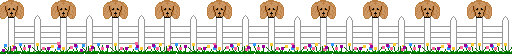Dogs