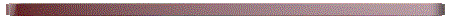 divider01b.gif (3064 bytes)