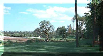 golf8.jpg (28605 bytes)