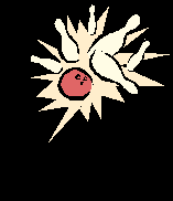 img106.gif (2536 bytes)