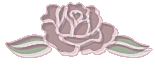 rosebutt01bb.gif (5348 bytes)