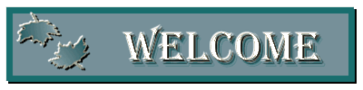 title04a.gif (11514 bytes)