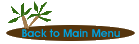 Back to main menu