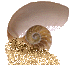 Shell3