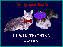human training award