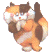 calico kitty
