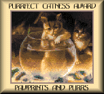 Perfect catness award