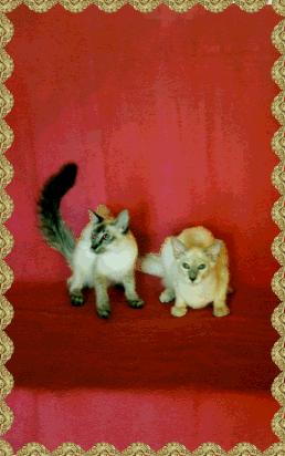 Javanese & Balinese