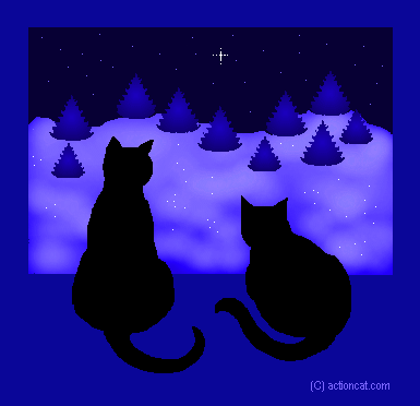 Cat Night Image