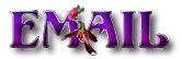 E-Mail Us