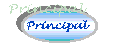 P&aacute;gina Principal