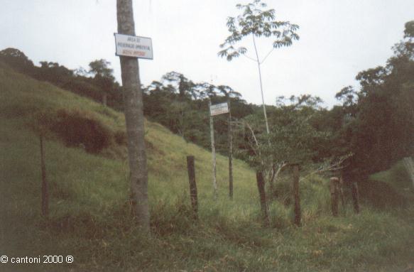 Chegando na cachoeira