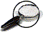 Search Gif 