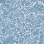 bgmableltblue.gif (20960 bytes)