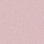 bgsoftpink.jpg (1294 bytes)