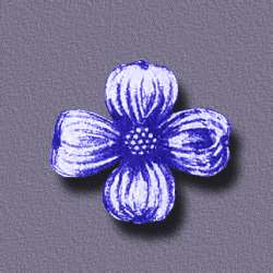 dogwood.jpg (16145 bytes)