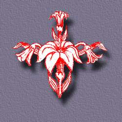 lily.jpg (16433 bytes)