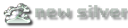 newsilver.gif (16672 bytes)