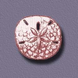 sanddollar.jpg (13909 bytes)
