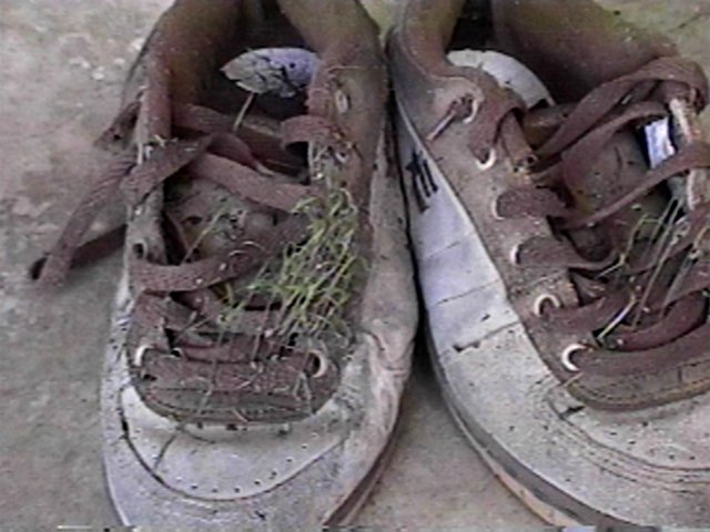 shoe2.jpg (60007 bytes)