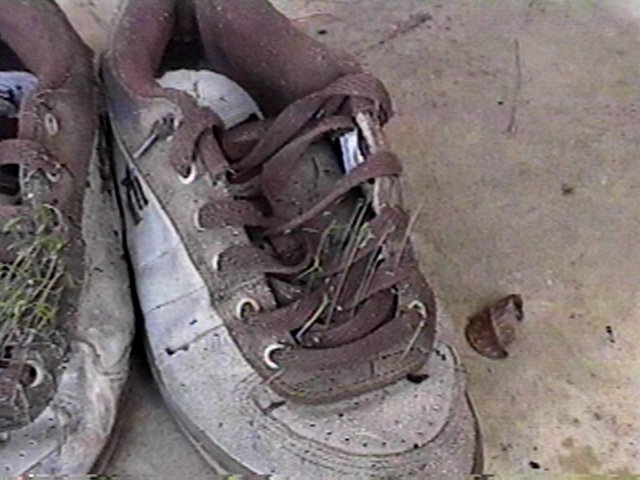 shoe3.jpg (59181 bytes)