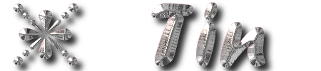tin.gif (16363 bytes)