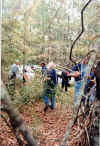 Cleanup10A.jpg (42569 bytes)