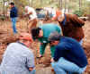 Cleanup12A.jpg (37900 bytes)