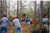 Cleanup13A.jpg (37070 bytes)