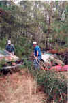 Cleanup5A.jpg (40400 bytes)