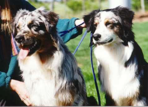 Rowdy and Spok