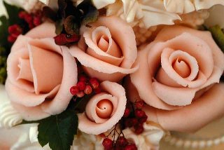 [roses]