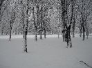 Bruzzano Neve
