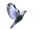 Peace
